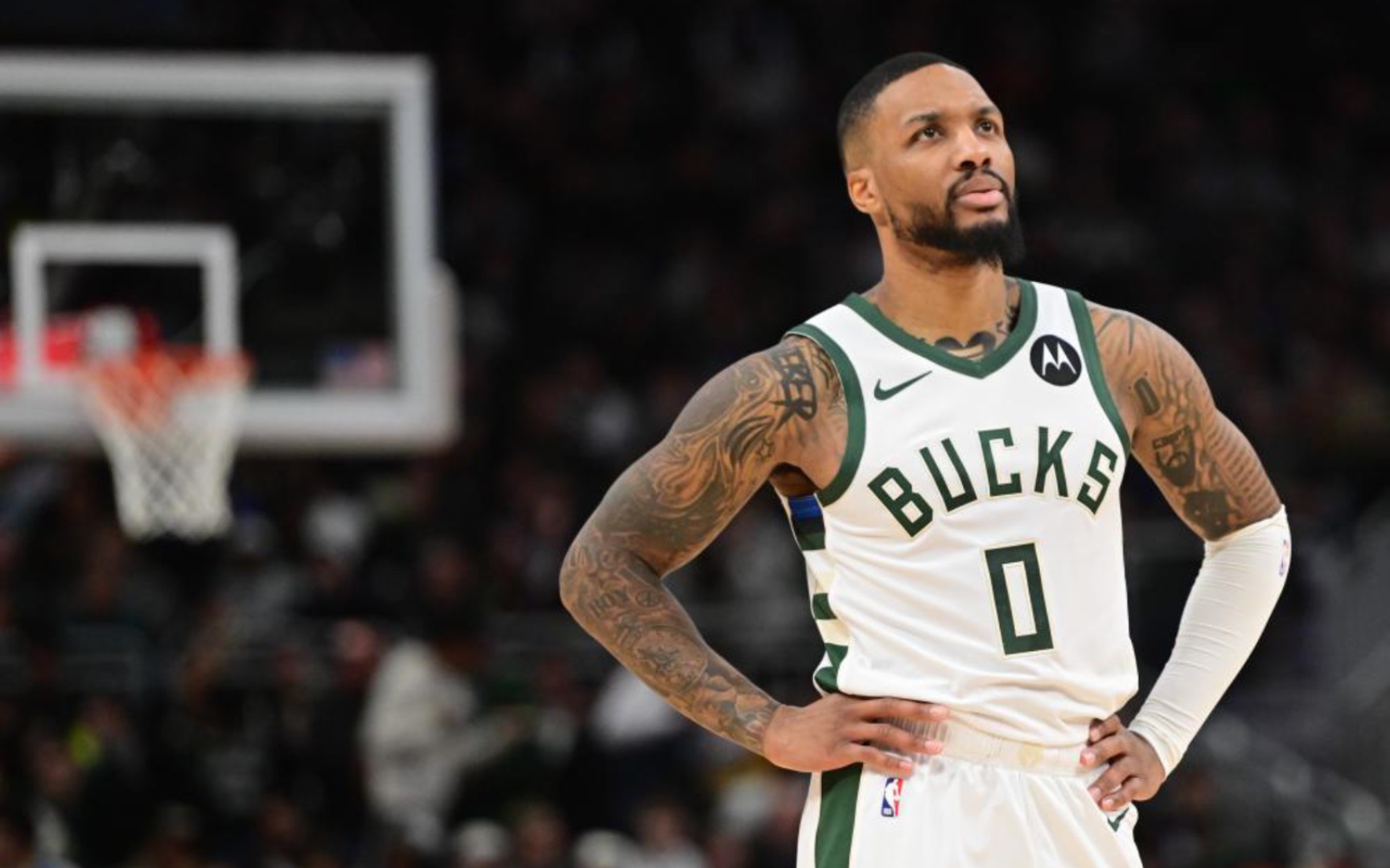 它不仅展现 它不仅展现