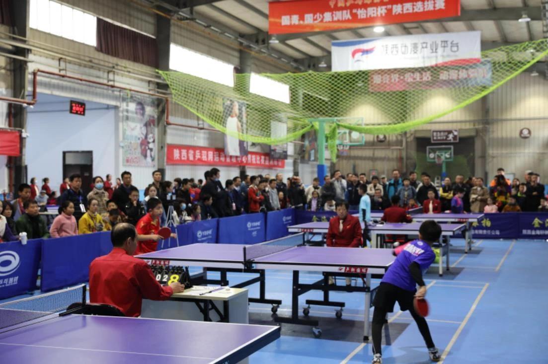 数青少年追 数青少年追