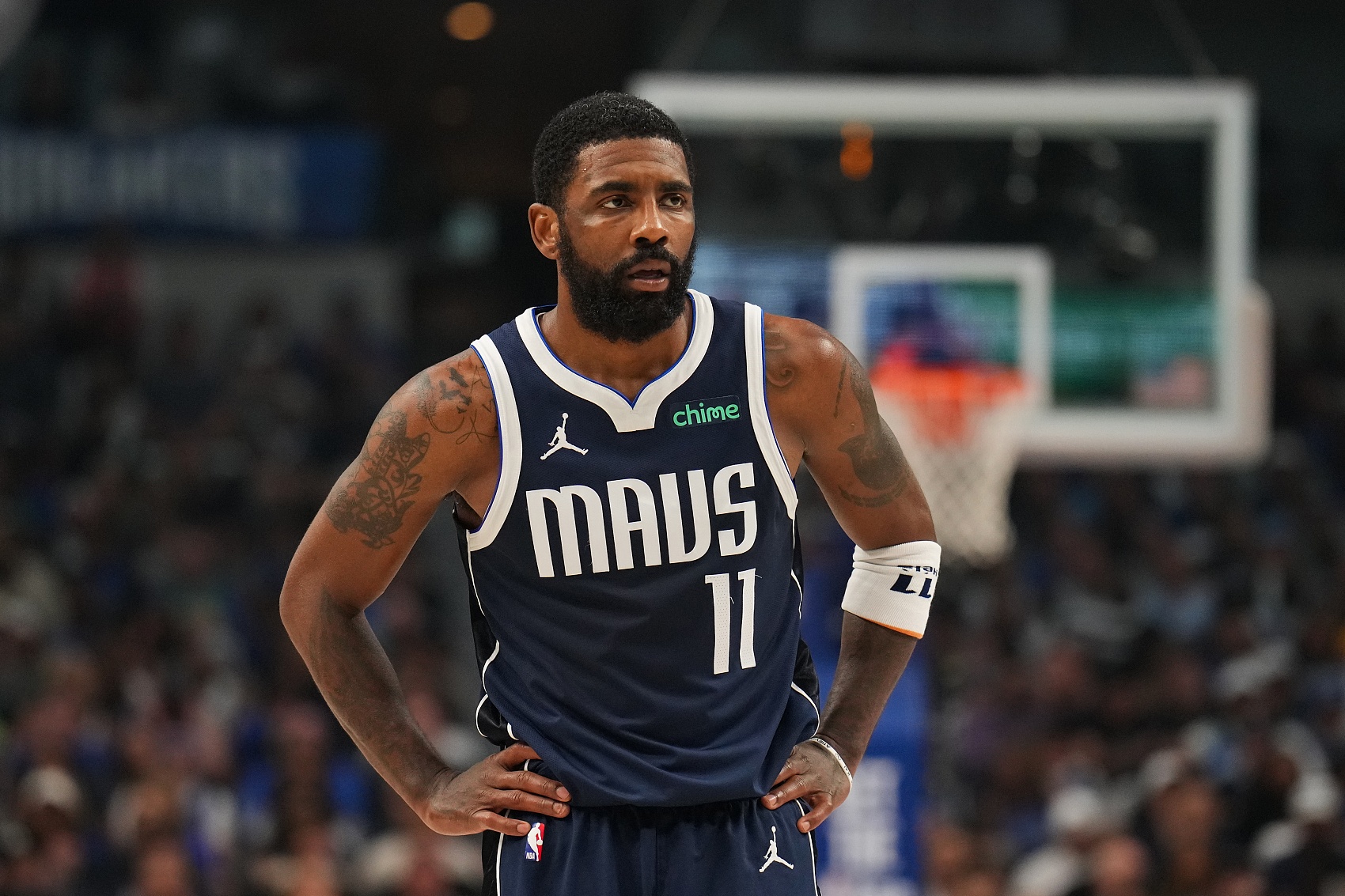 在大自然中 在大自然中