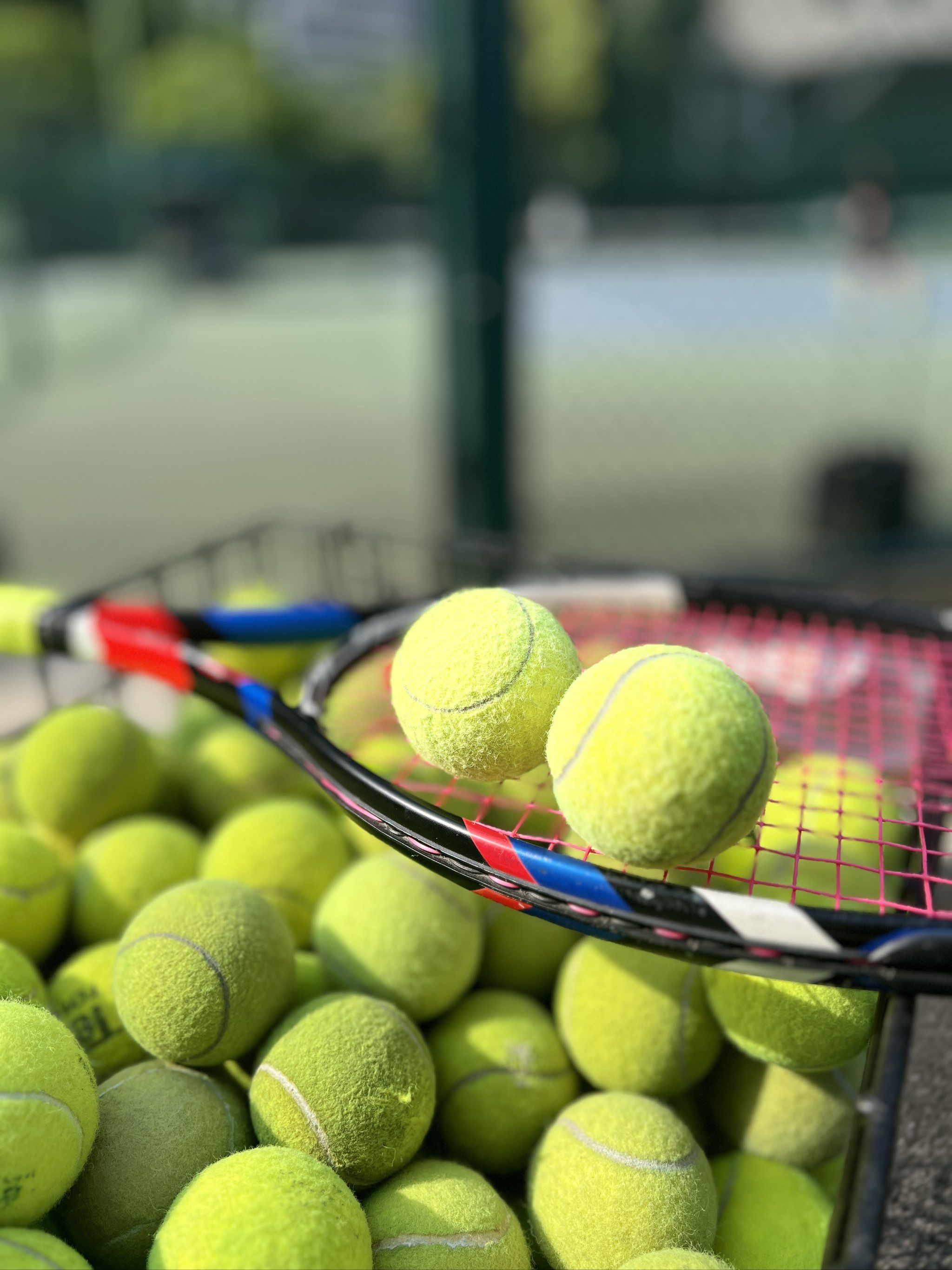 下新一条分 下新一条分